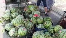 六盘水吃瓜最新事件爆料,揭秘背后惊人真相